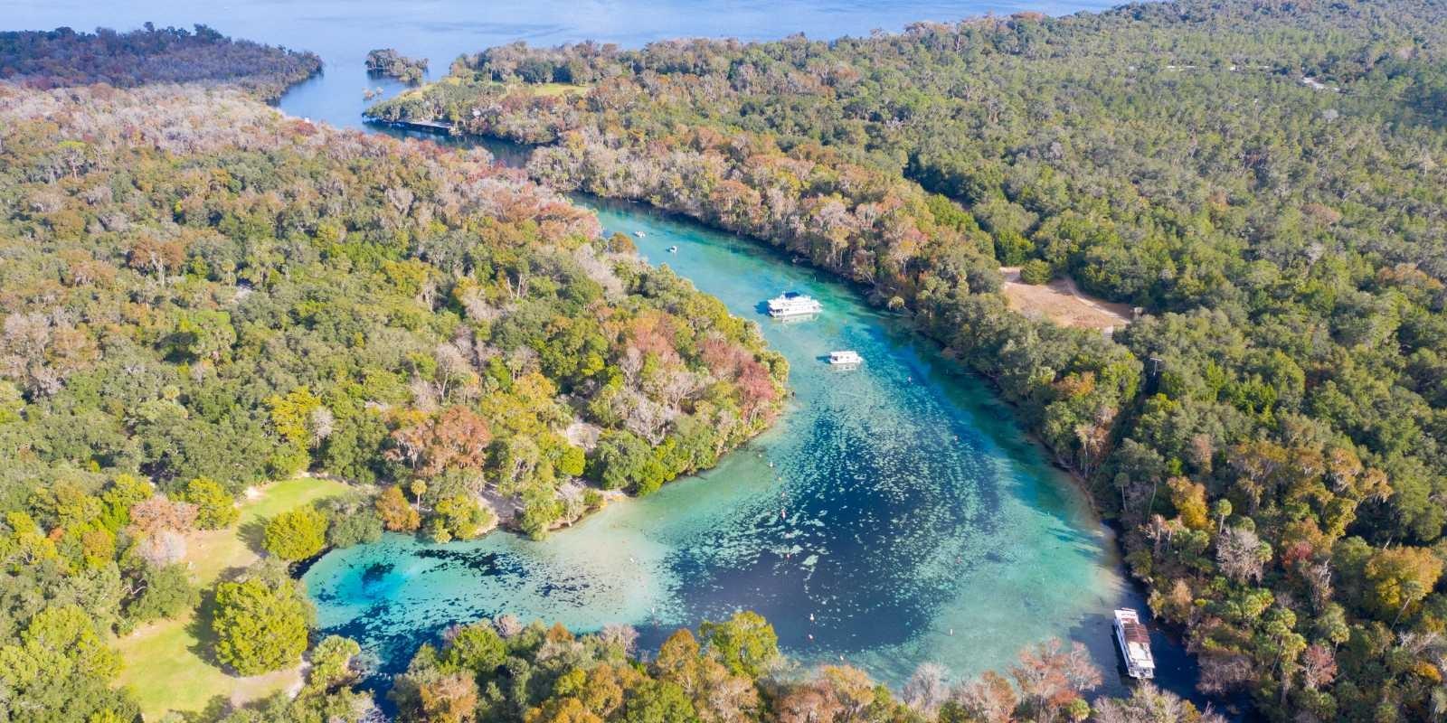 Descubre el "Corazón de Florida": Explorando la belleza natural de Ocala.