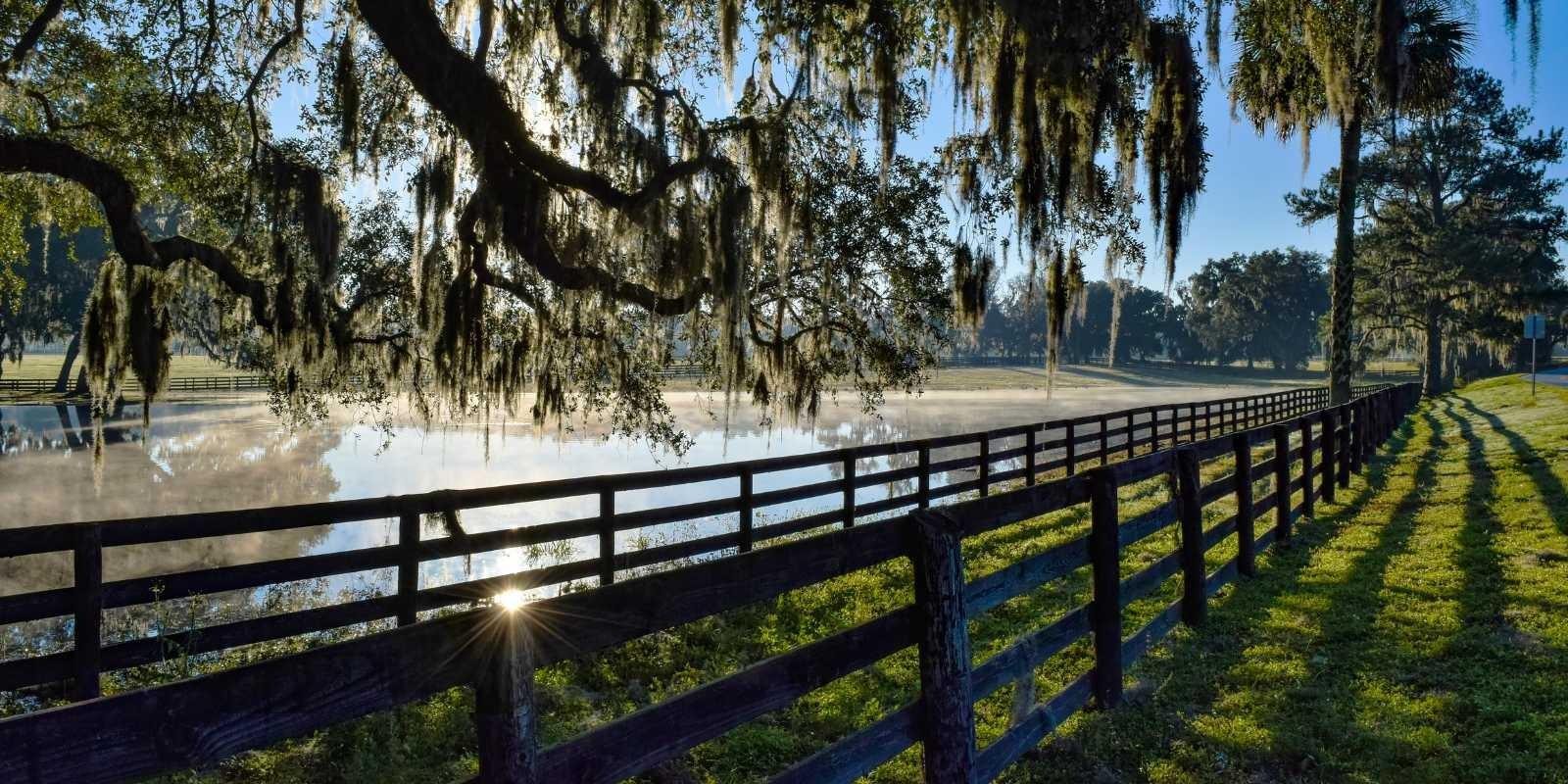 Ocala: Un destino para la aventura - Actividades al aire libre para todos.