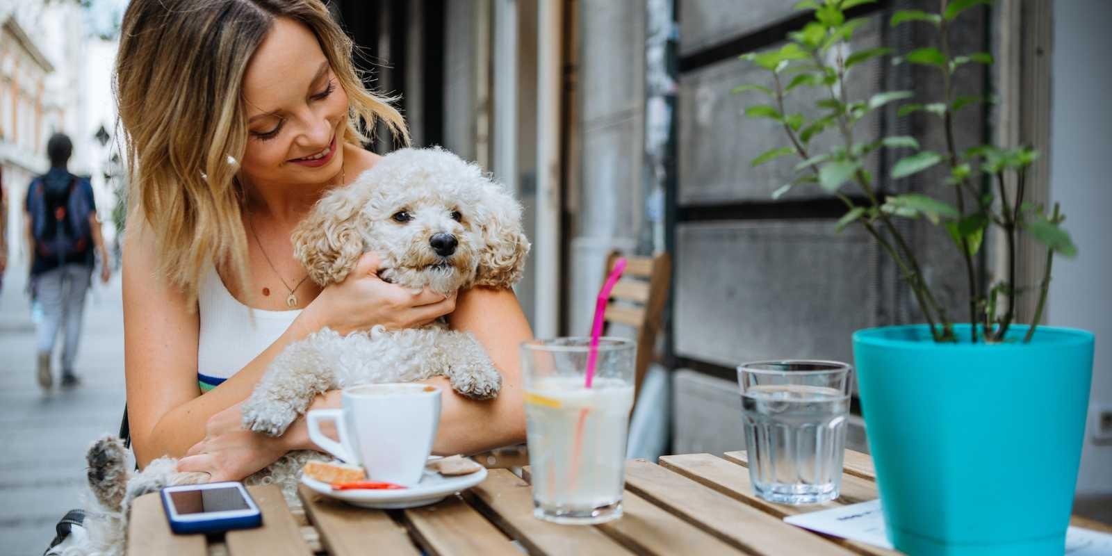 Ocala: Una ciudad pet-friendly - Disfruta con tu mascota