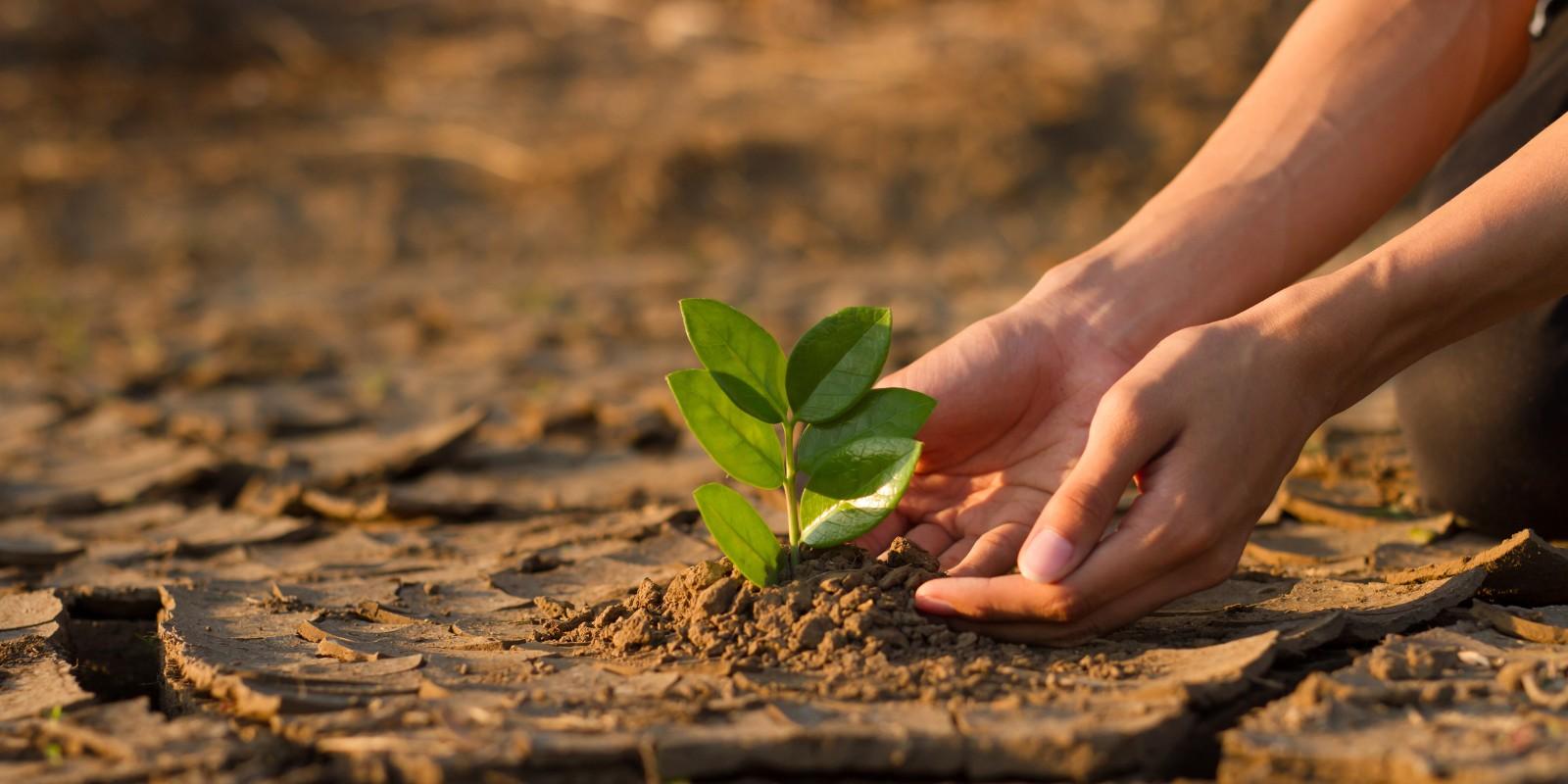 Inversiones resilientes: Adaptándose al cambio climático en Ocala