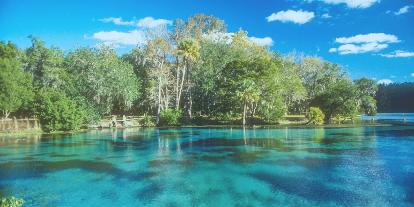 ¿Por qué Todos Hablan de Mudarse a Ocala, Florida?
